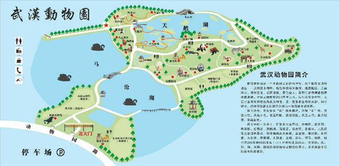 武汉动物园