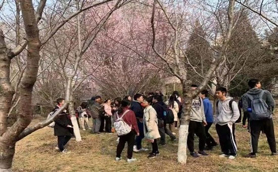北京玉渊潭公园素质拓展训练
