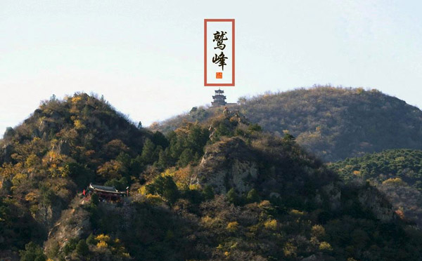 鹫峰数百株梅花迎春