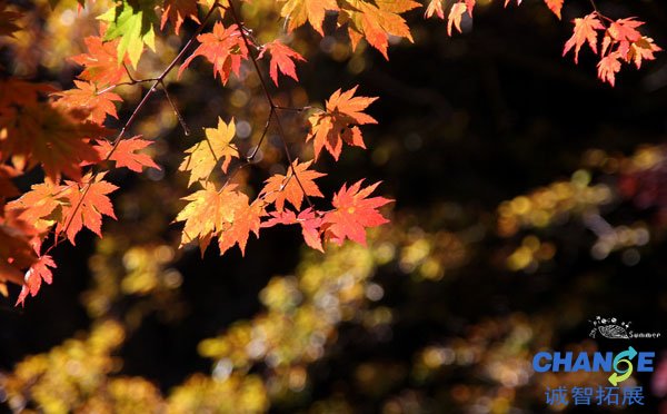 香山