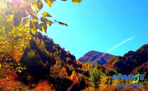 雾灵山
