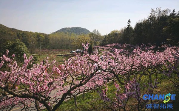 平山森林公园
