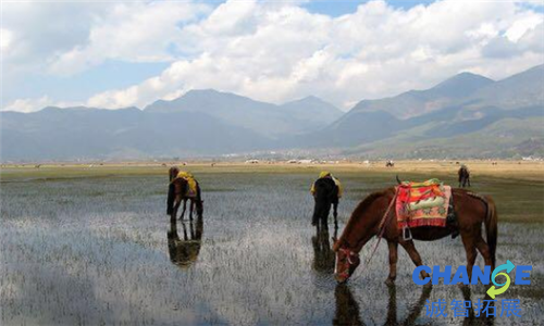 丽江十大旅游景点排名