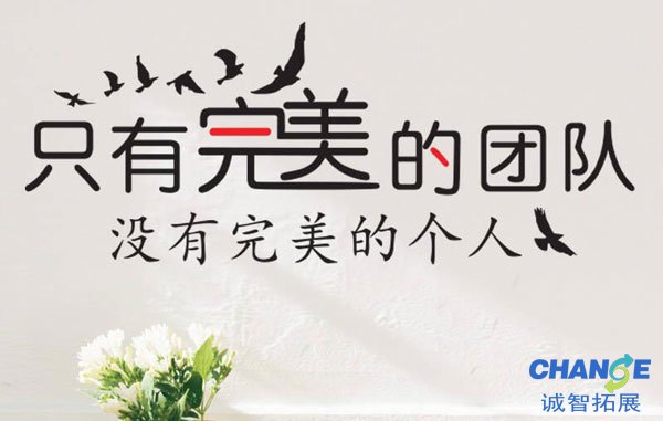 团队口号大全