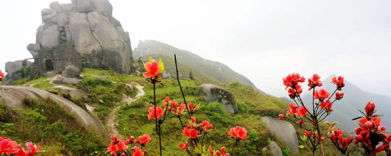 桂阳县扶苍山旅游路线