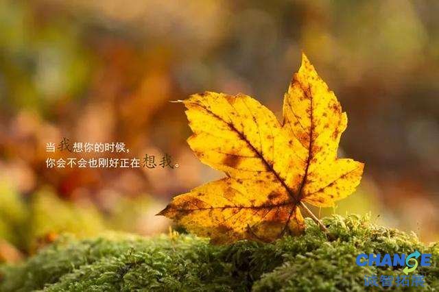 情人节贺卡简短情话