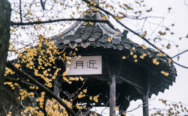个园和何园哪个好？何园和个园门票