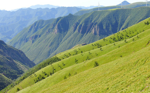蔚县茶山好玩吗旅游攻略，蔚县茶山收门票吗