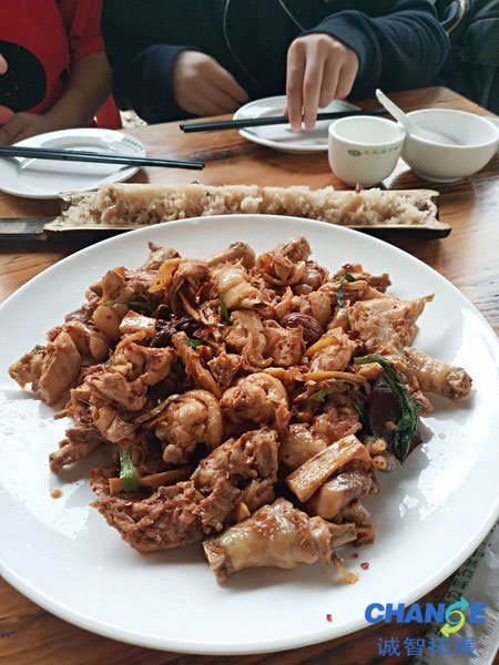 田棚鸡