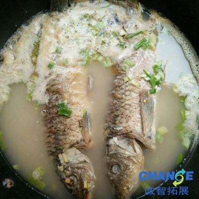 黄河鲤鱼