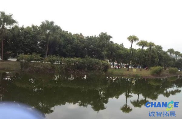 中国死海在哪里，中国死海旅游攻略