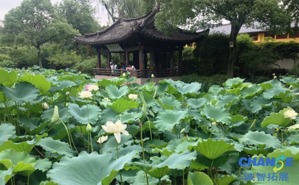 外环河南河