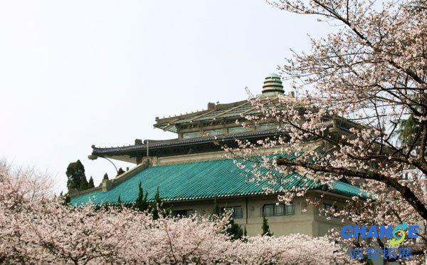 武汉大学
