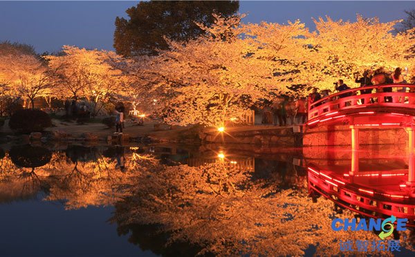 武汉大学