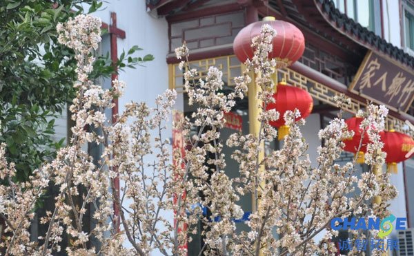 溧阳南山竹海竹乡人家客栈