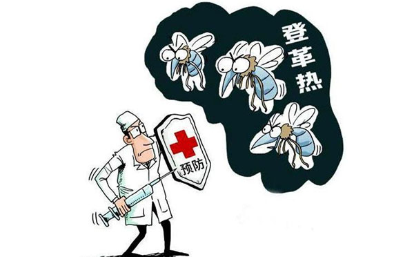 预防登革热标语