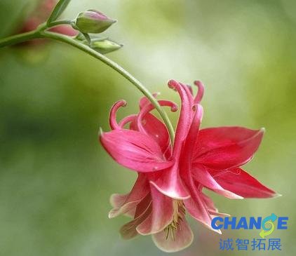 微信伤感网名