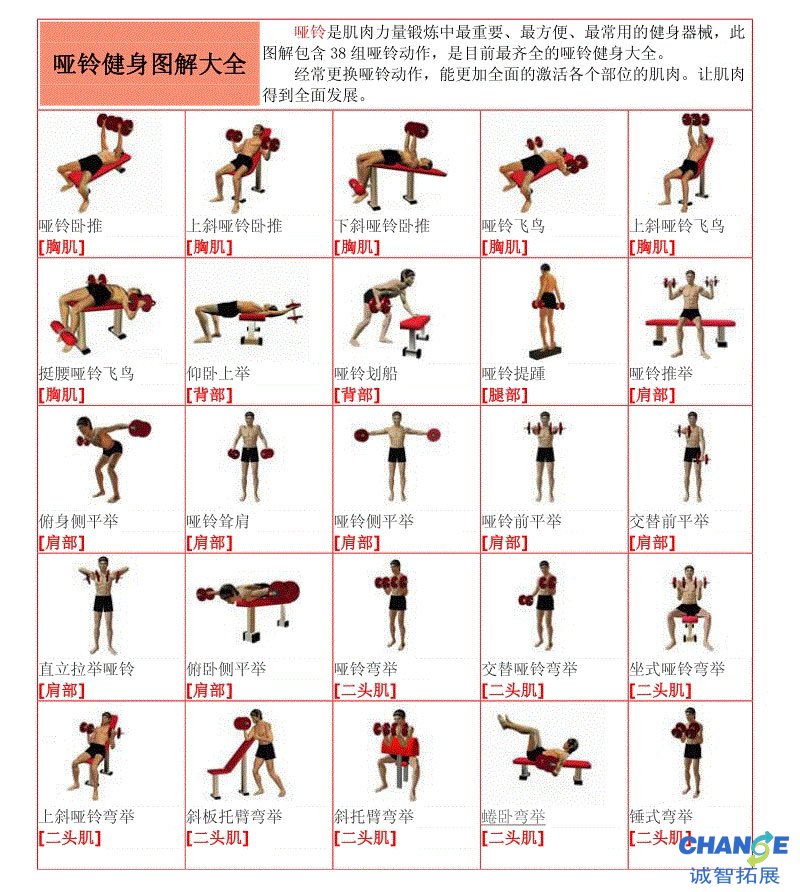 哑铃锻炼方法