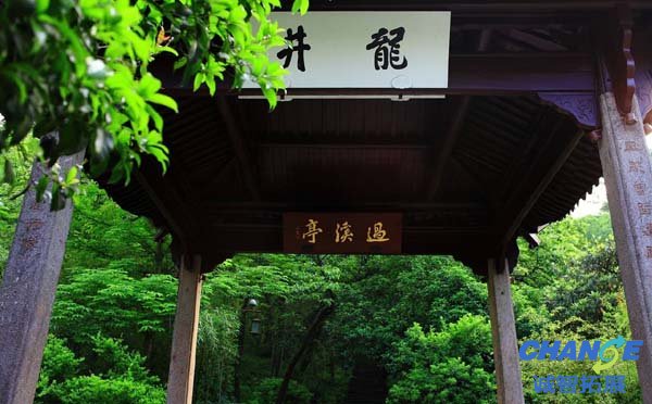 龙井问茶龙井