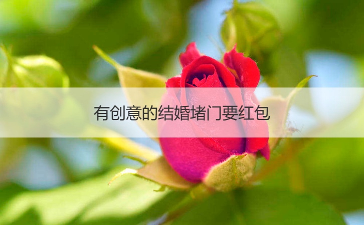 有创意的结婚堵门要红包