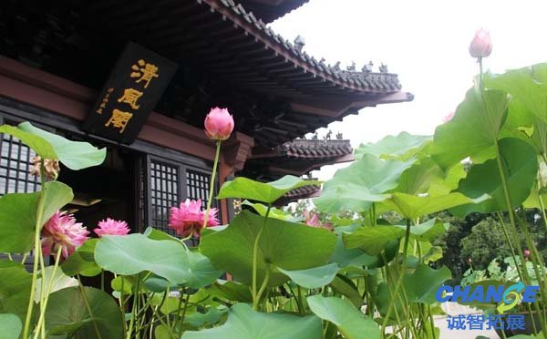 包公园旅游信息