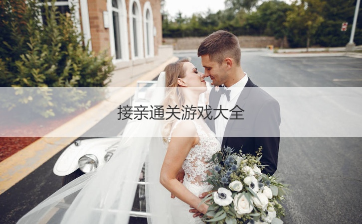 接亲通关游戏大全  结婚接亲小游戏