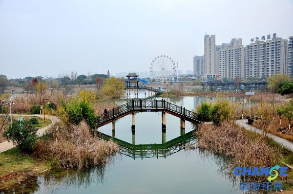 长沙洋湖垸湿地公园
