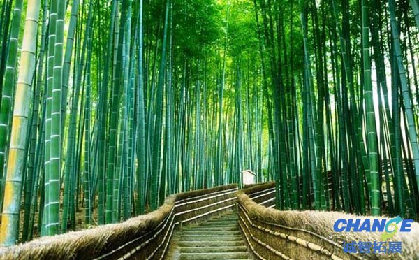 岳阳平江福寿山山系特点
