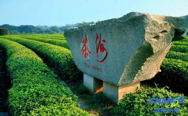生态茶业展示园
