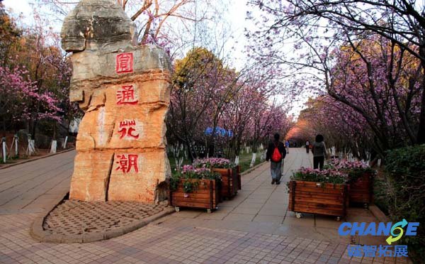 圆通山动物园圆通花潮