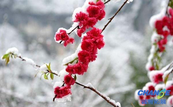 酉阳桃花源1