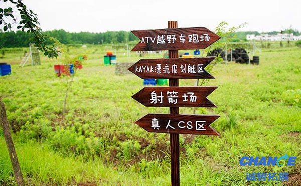 长兴岛桔园