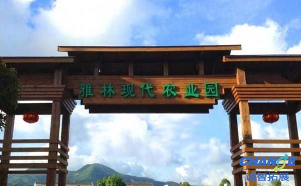 龙湾雅林交通指南