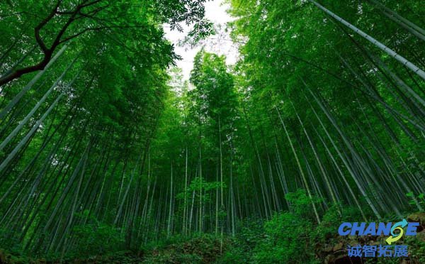 宜兴竹海主要景点