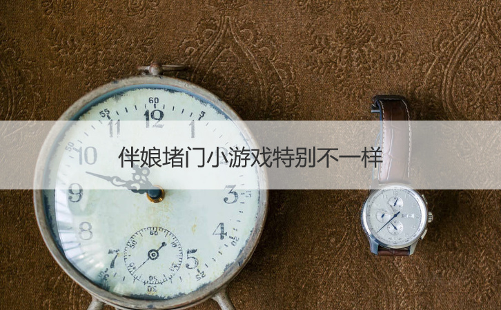 伴娘堵门小游戏特别不一样(图1)