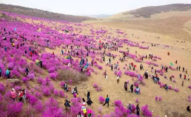 齐齐哈尔五一旅游最佳去处