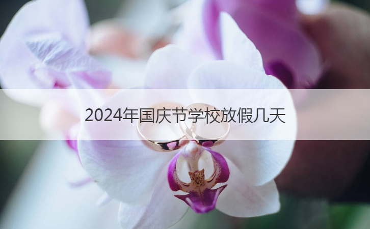 2024年国庆节学校放假几天  2024