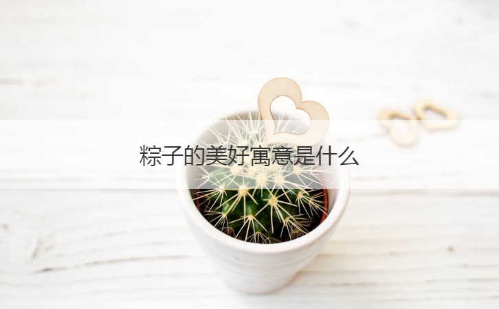 粽子的美好寓意是什么  粽子历史记载