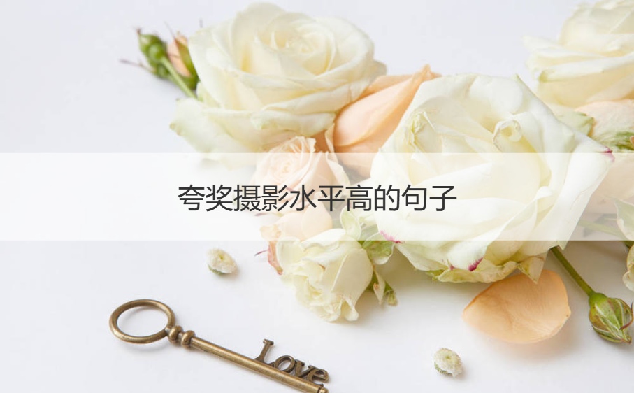 夸奖摄影水平高的句子 夸赞照片拍的好的语
