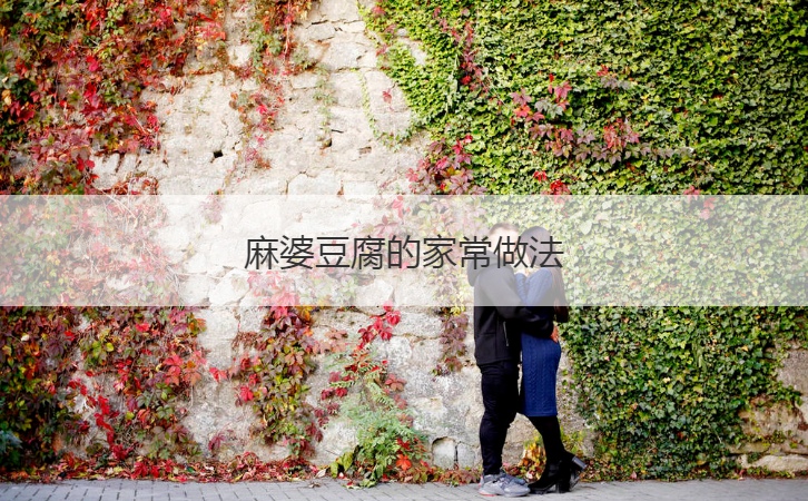 麻婆豆腐的家常做法  家常菜菜谱大全