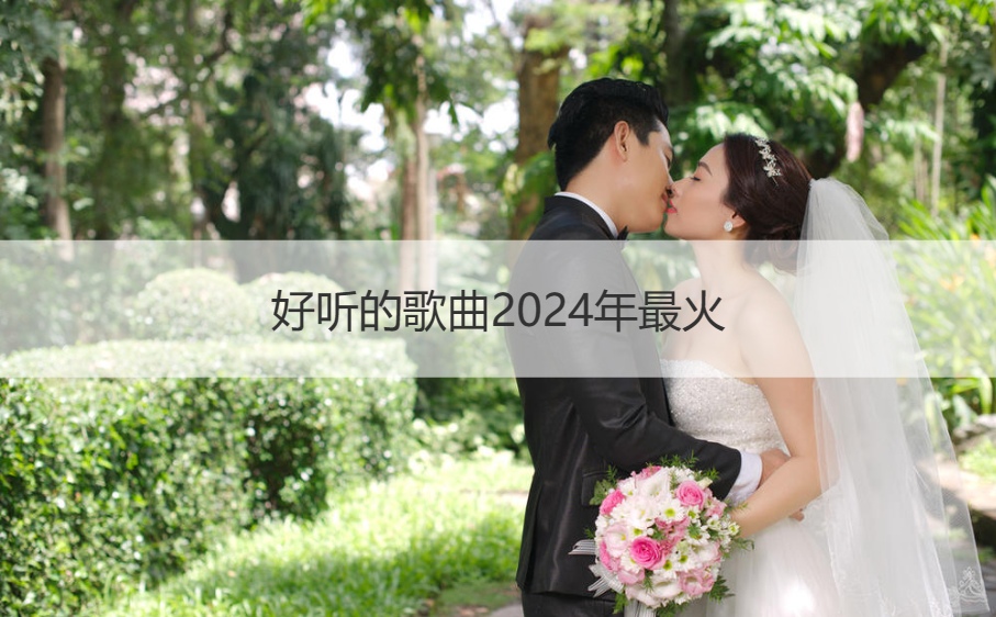 好听的歌曲2024年最火 好听网络流行歌