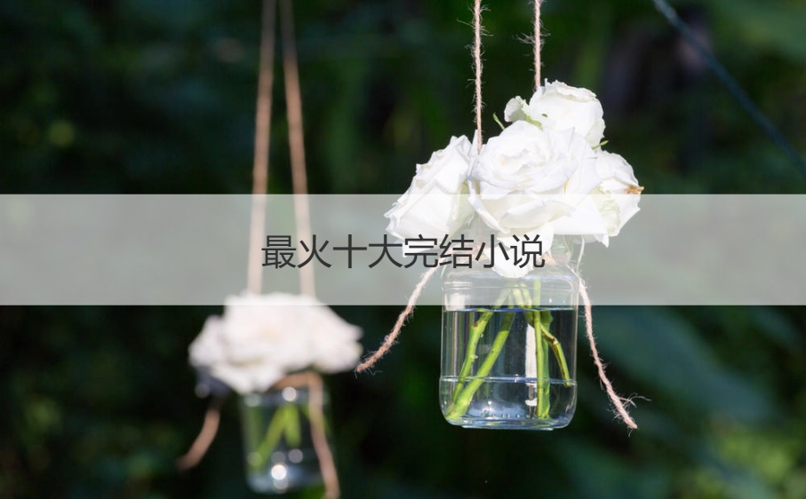  最火十大完结小说   十大公认完结小说