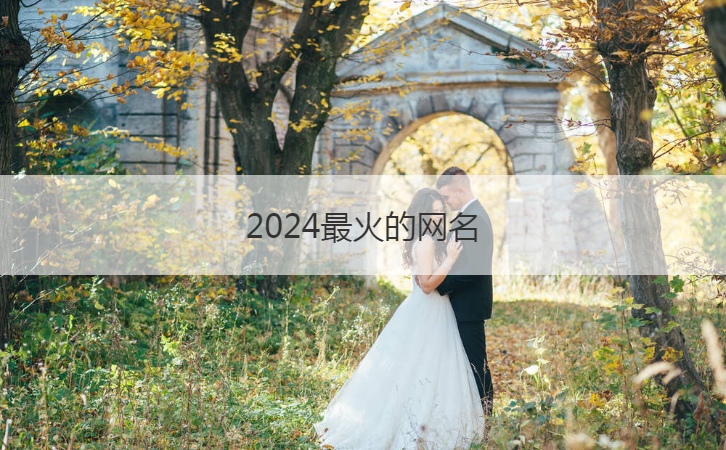 2024最火的网名  最火的情侣网名(图1)