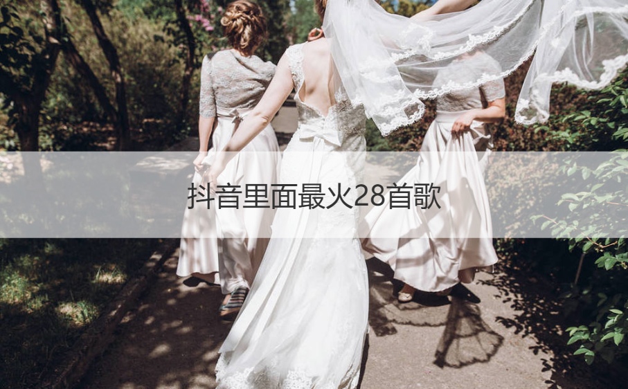 抖音里面最火28首歌  抖音最火音乐