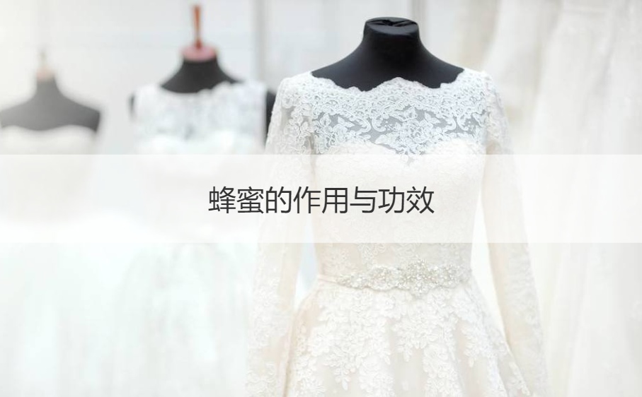 蜂蜜的作用与功效  养生有什么技巧和方法