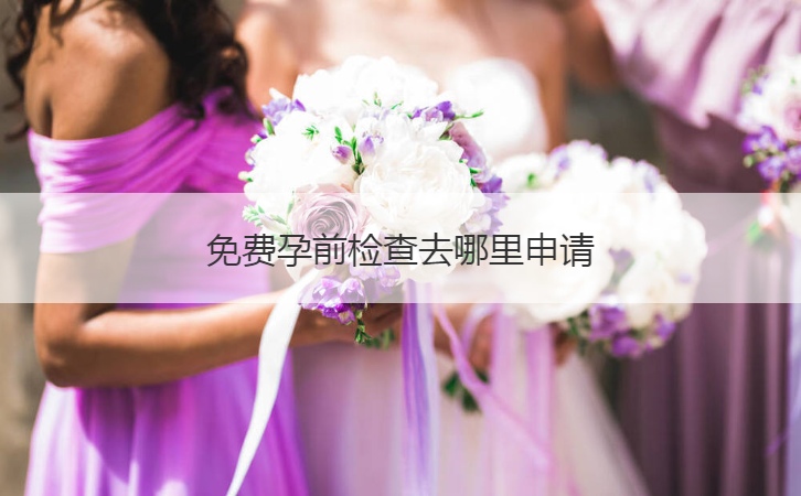 免费孕前检查去哪里申请  孕检注意事项