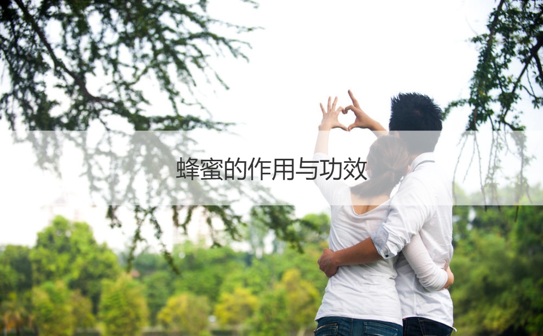 蜂蜜的作用与功效 真假蜂蜜怎么鉴别最简单