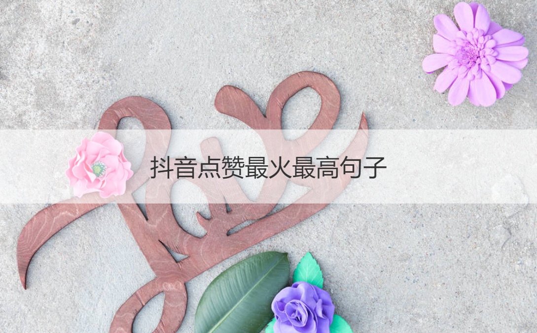 抖音点赞最火最高句子 最火的抖音名字(图1)