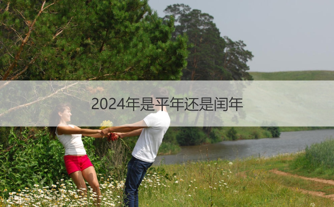 2024年是平年还是闰年 平年还是闰年的
