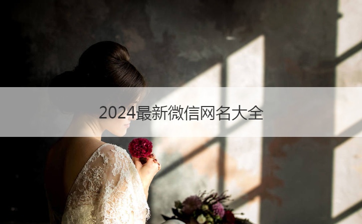 2024最新微信网名大全  搞笑网名汇总